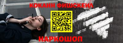 индика Усть-Джегута