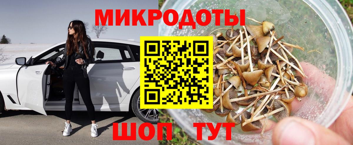 Галлюциногенные грибы прущие грибы  Вход с VPN  Псилоцибиновые грибы ЛСД  Котовск 